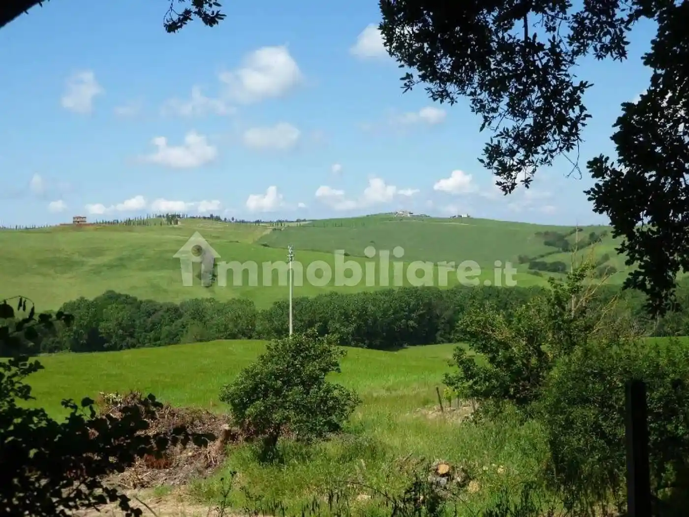 Rustico - Casale in vendita a Asciano