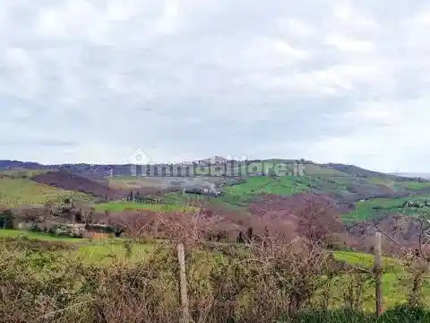 Rustico - Casale in vendita a Manciano