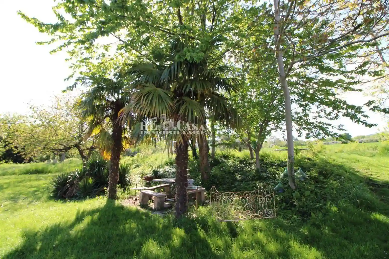 Rustico - Casale - foto 5