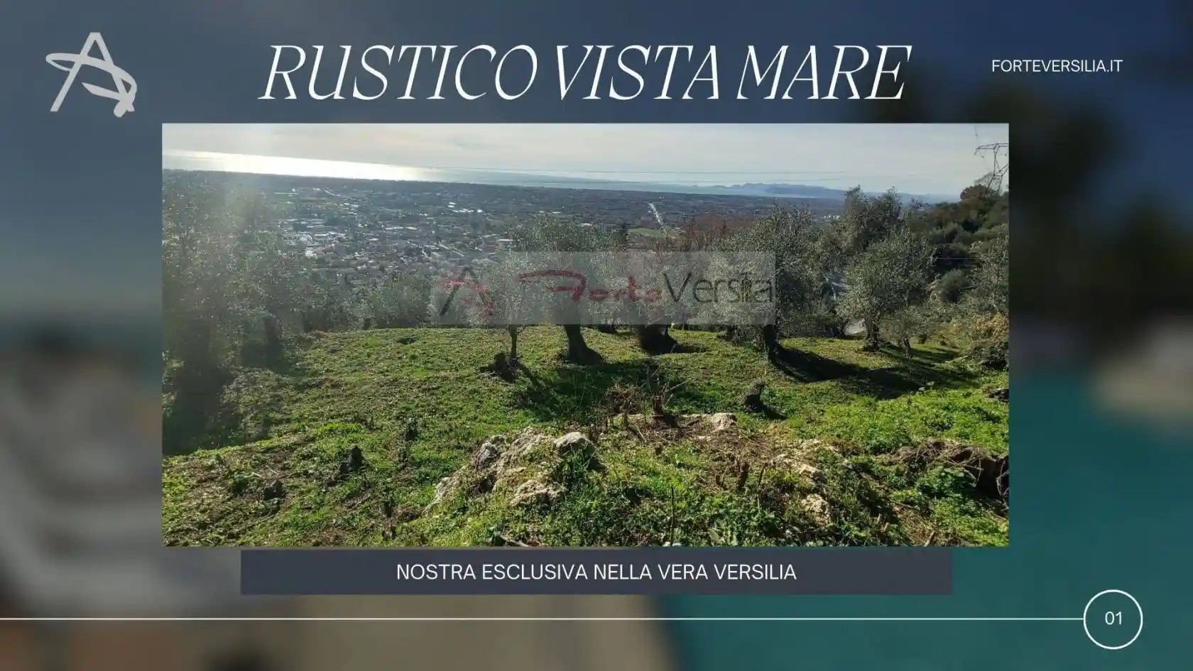 Rustico - Casale in vendita a Pietrasanta