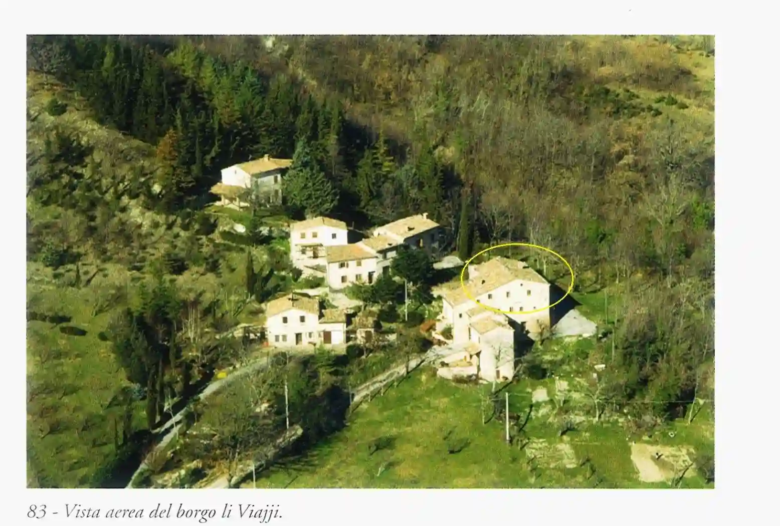 Palazzo - Edificio - foto 5
