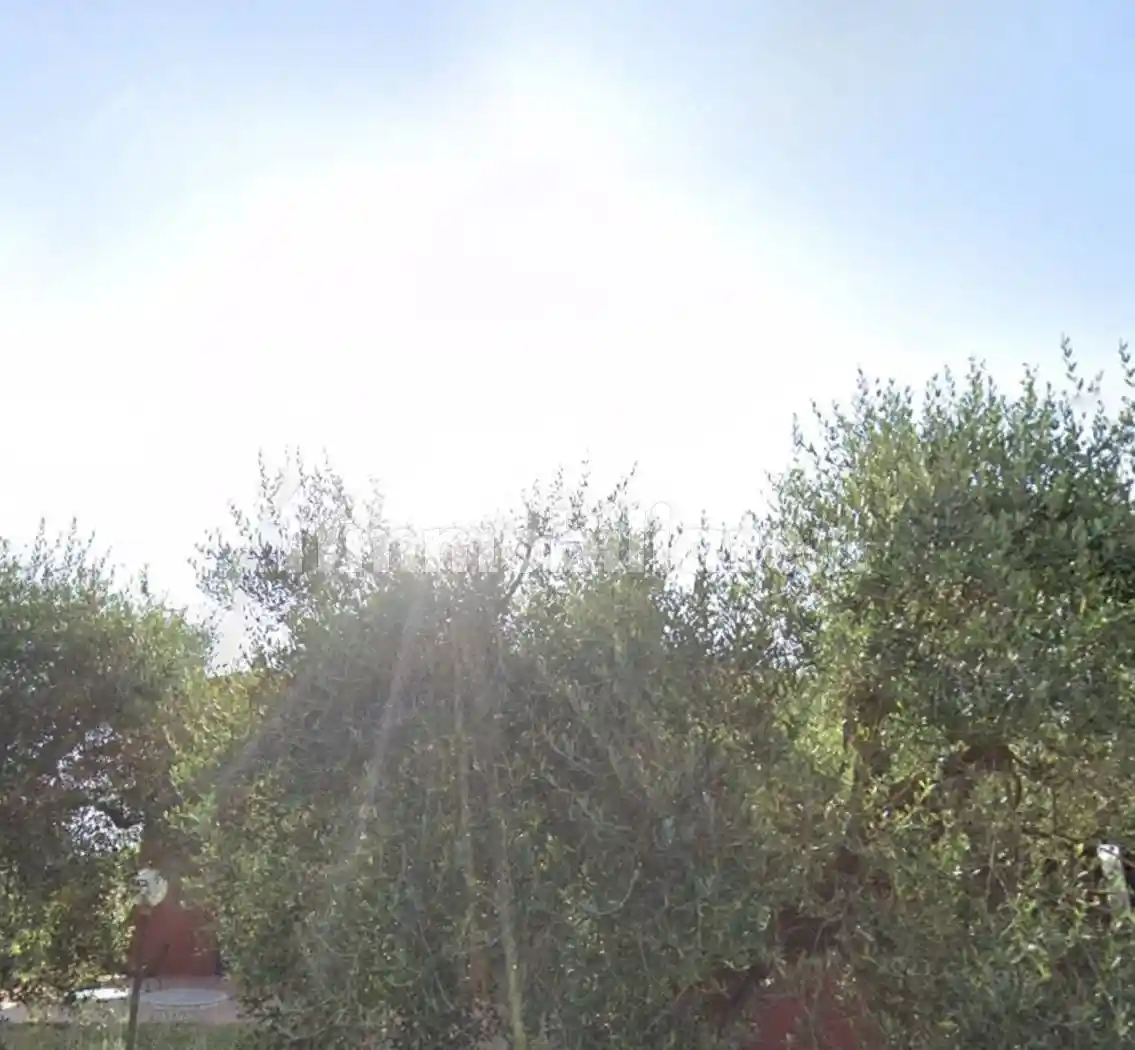 Villa in vendita a Roma