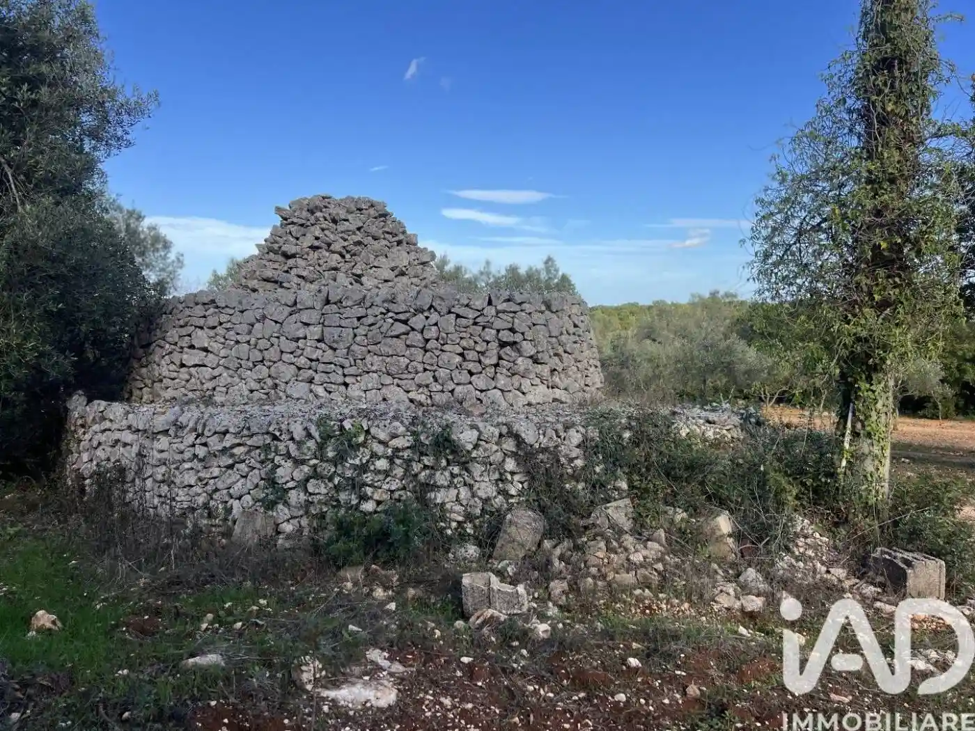 Villa in vendita a Martina Franca