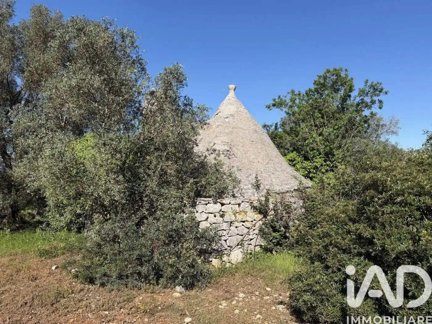 Villa in vendita a Martina Franca