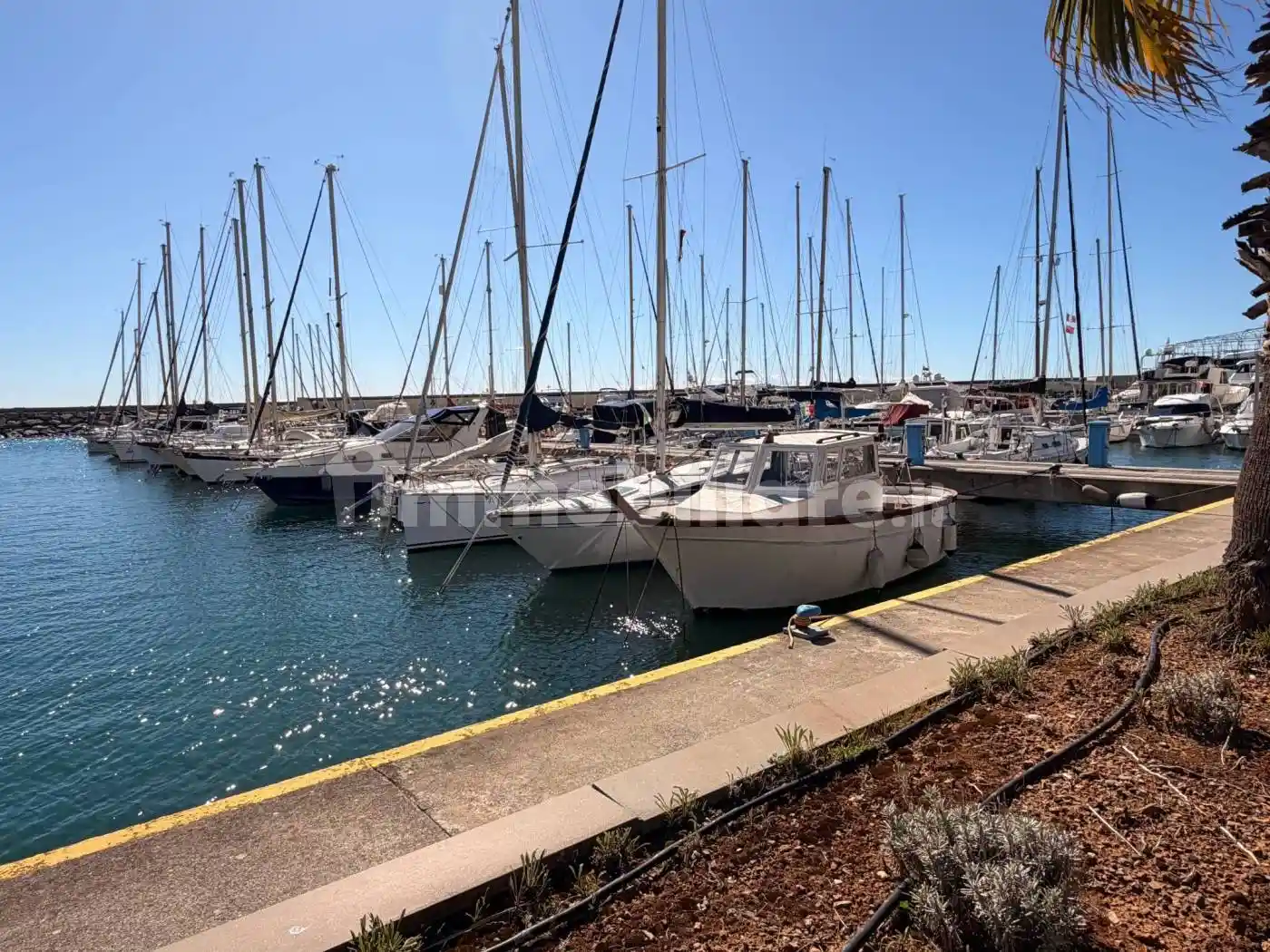 Appartamento in vendita a San Lorenzo al Mare