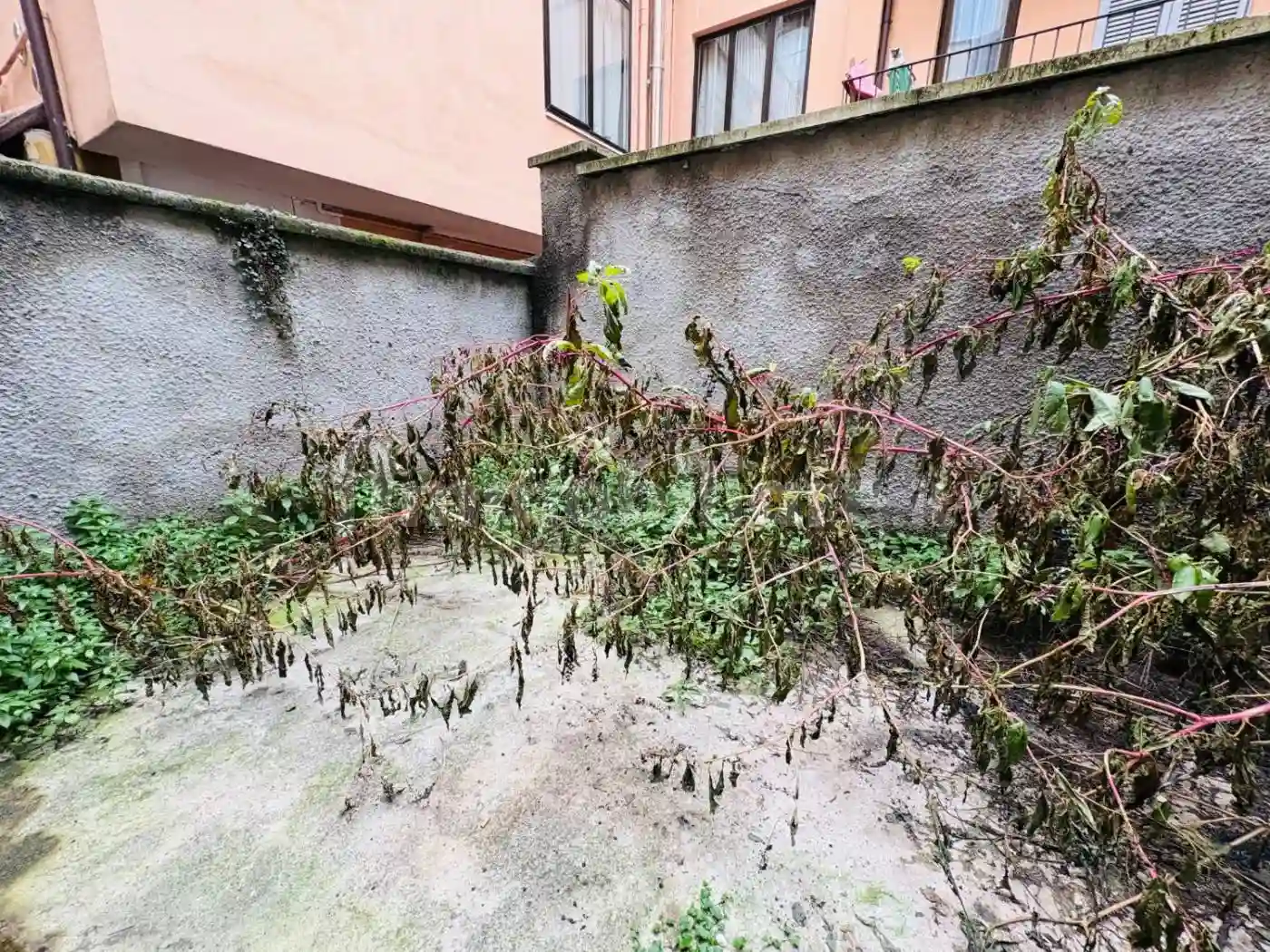 Palazzo - Edificio - foto 5