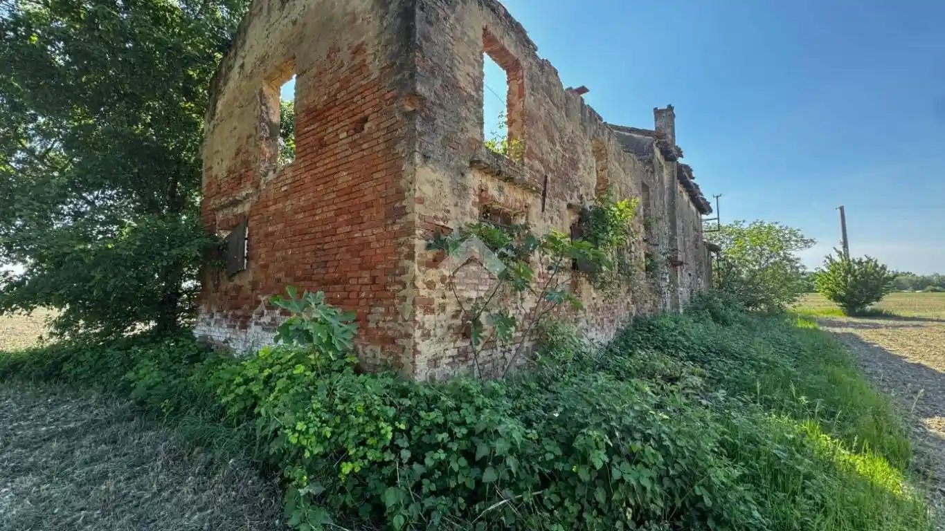 Rustico - Casale in vendita a Casale sul Sile