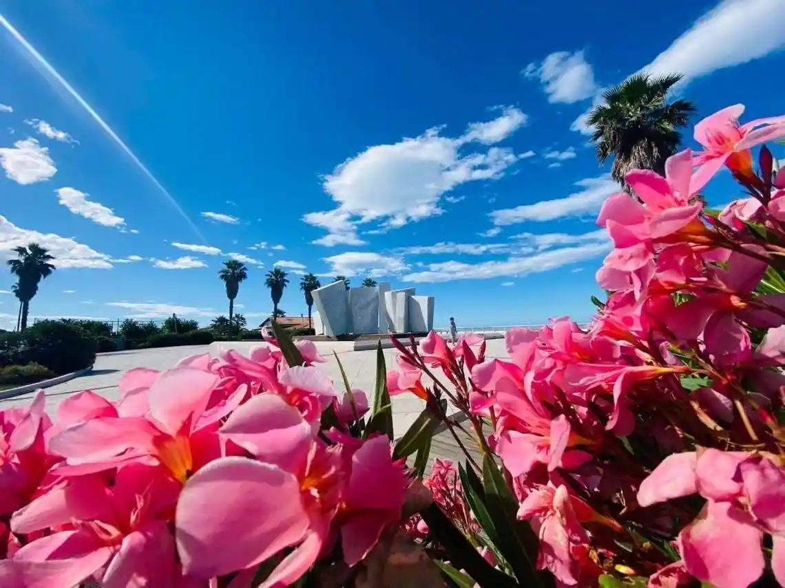 Appartamento in vendita a Massa