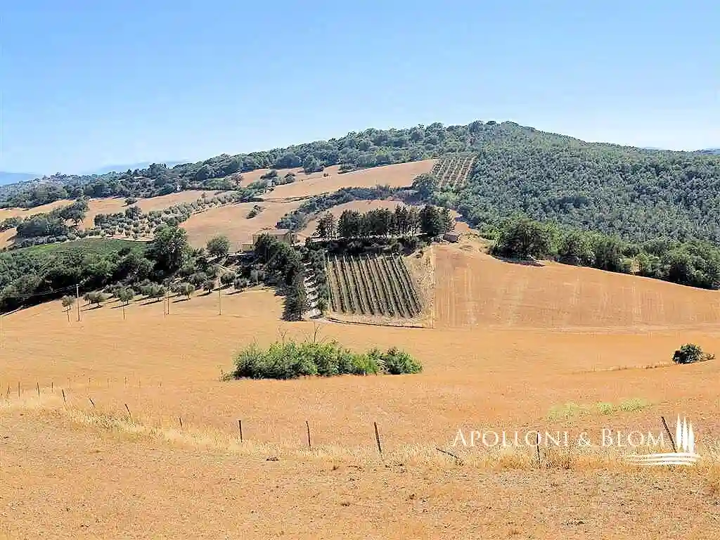 Rustico - Casale - foto 3