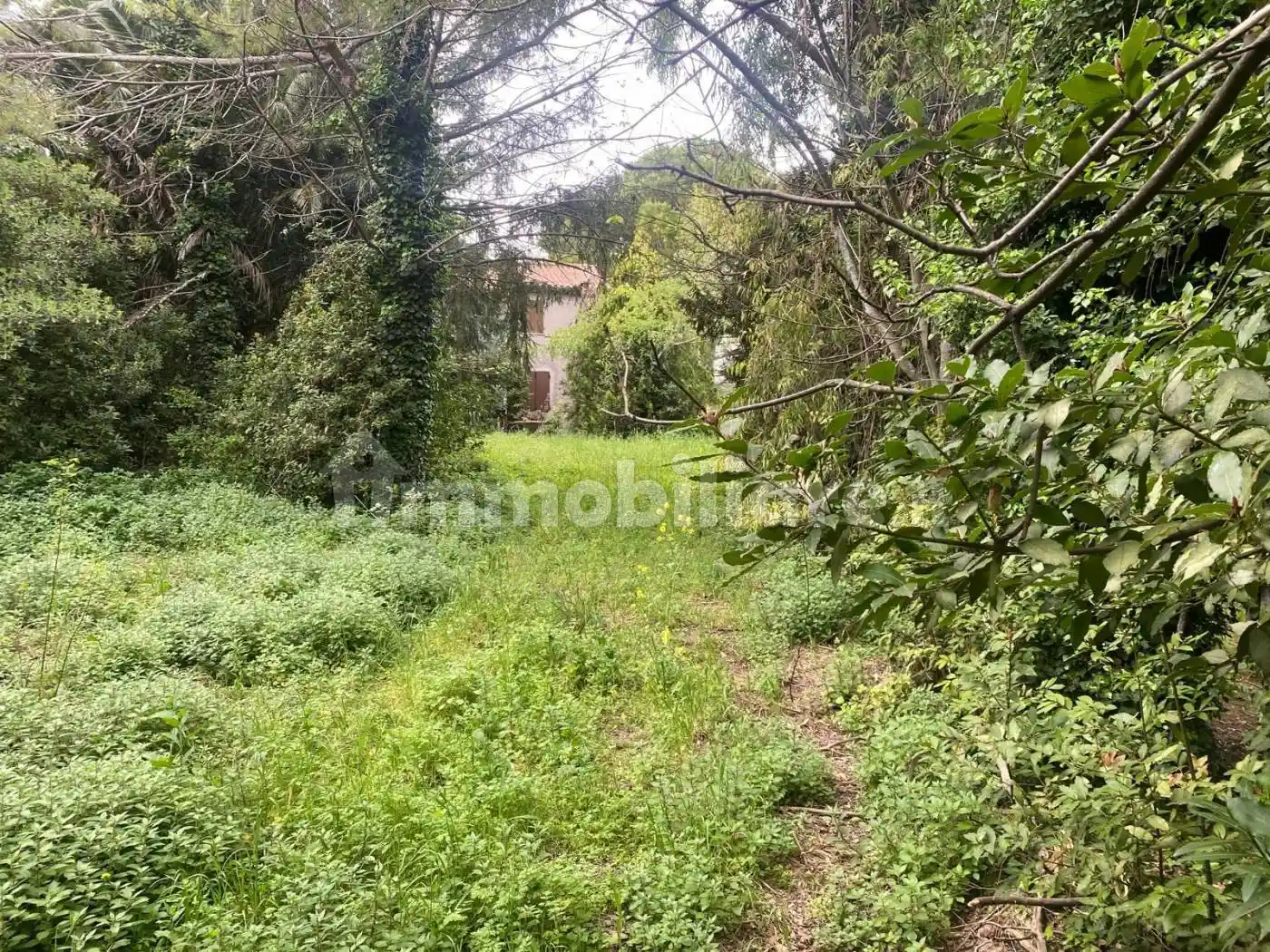 Rustico - Casale in vendita a Montelupone