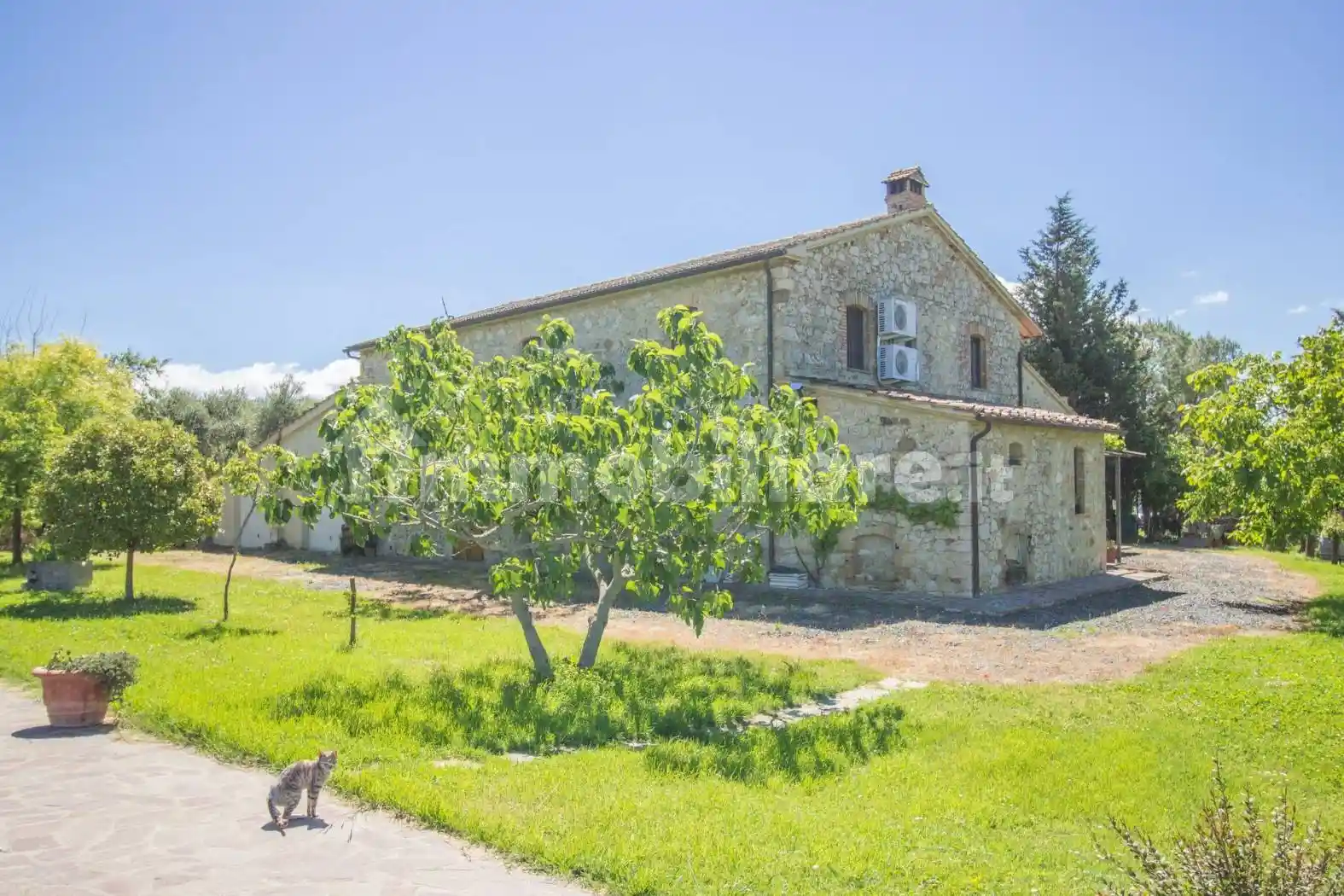 Rustico - Casale in vendita a Cinigiano