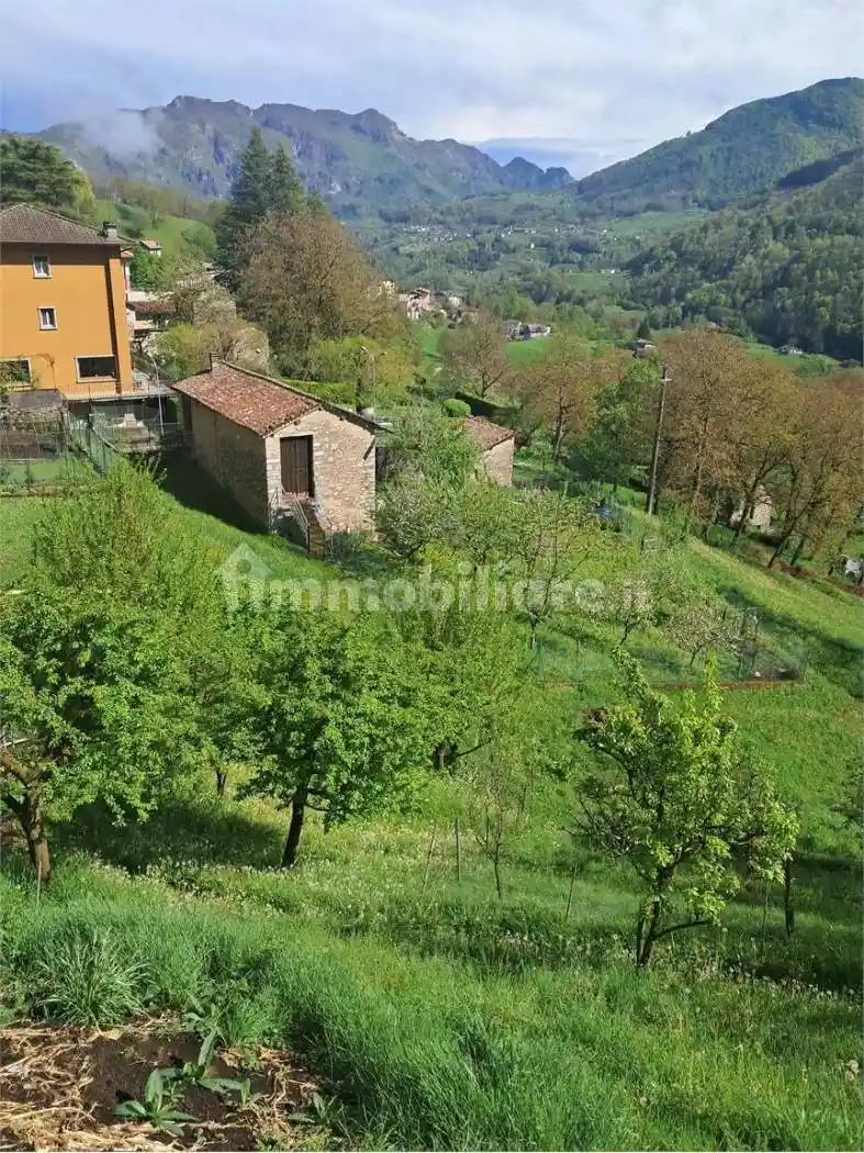 Rustico - Casale in vendita a Vedeseta