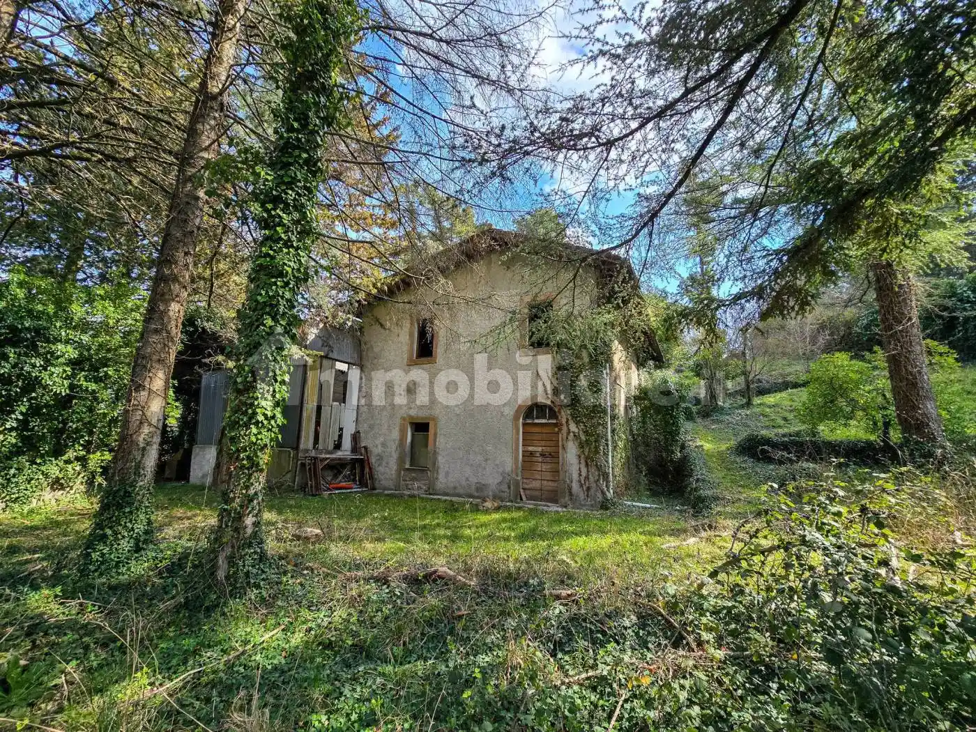 Rustico - Casale in vendita a Cinigiano