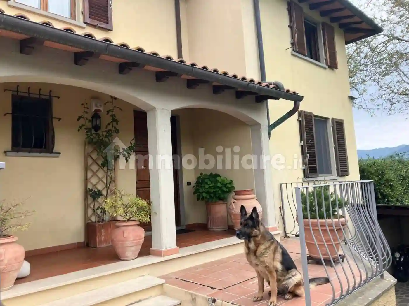 Villa - foto 2