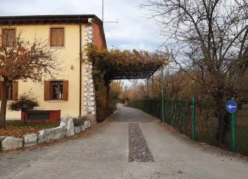 Palazzo - Stabile - foto 2