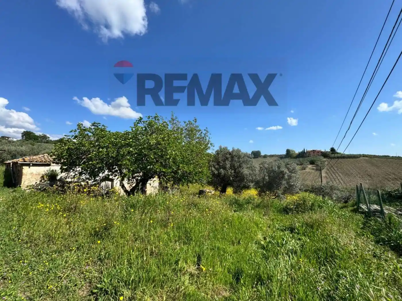 Rustico - Casale in vendita a Mozzagrogna