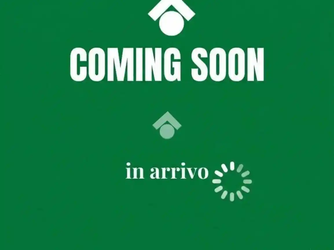 Appartamento in vendita a Ponte San Pietro