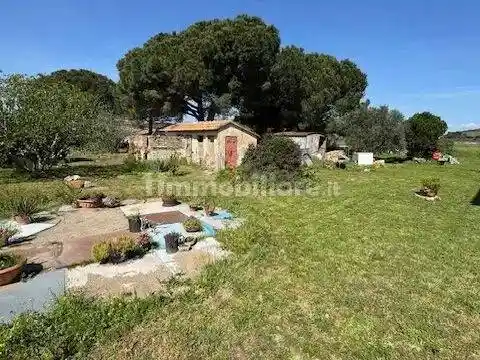 Appartamento in vendita a Capalbio
