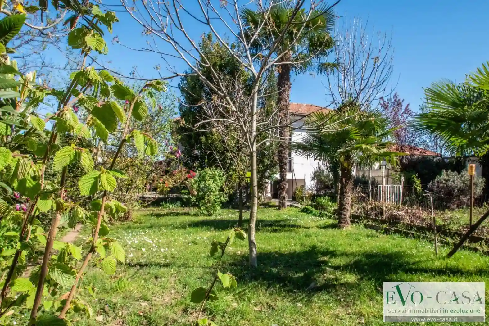 Villa - foto 5