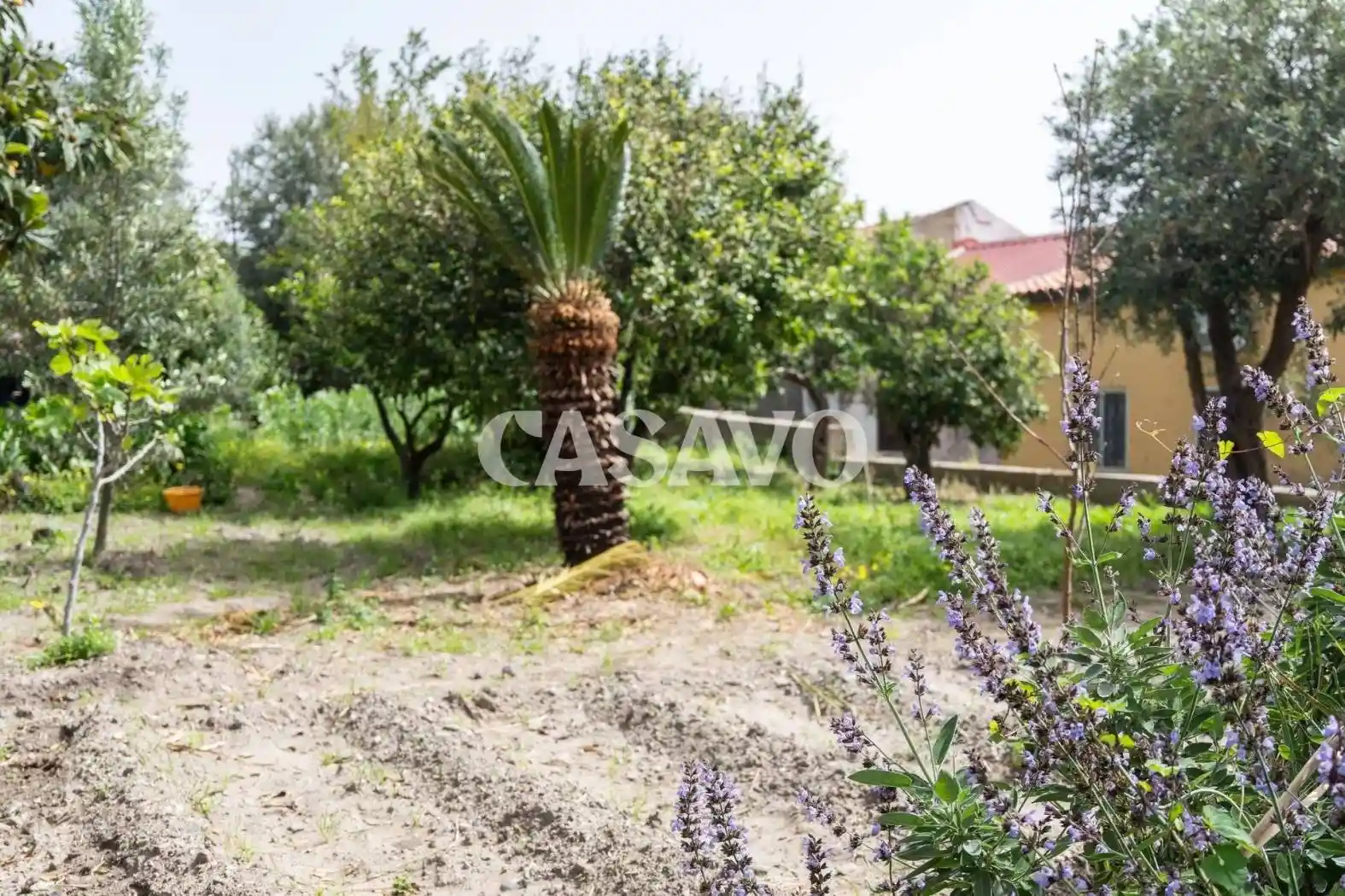Appartamento in vendita a Messina