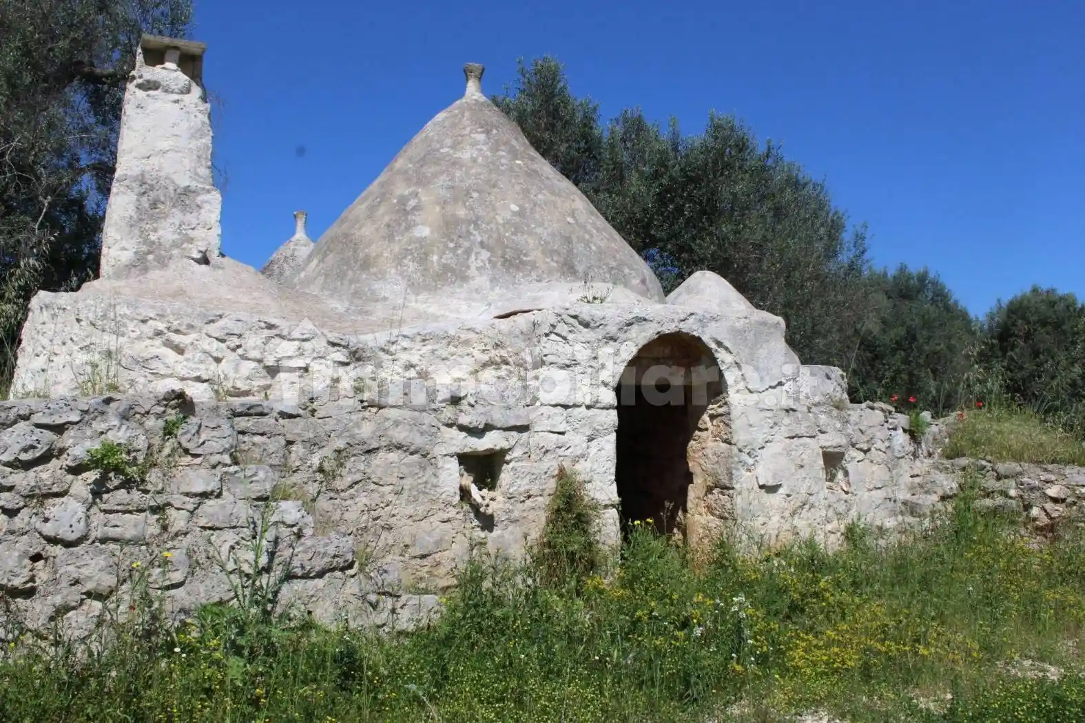 Rustico - Casale in vendita a Francavilla Fontana