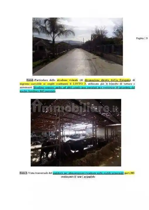 Rustico - Casale in vendita a Altavilla Silentina