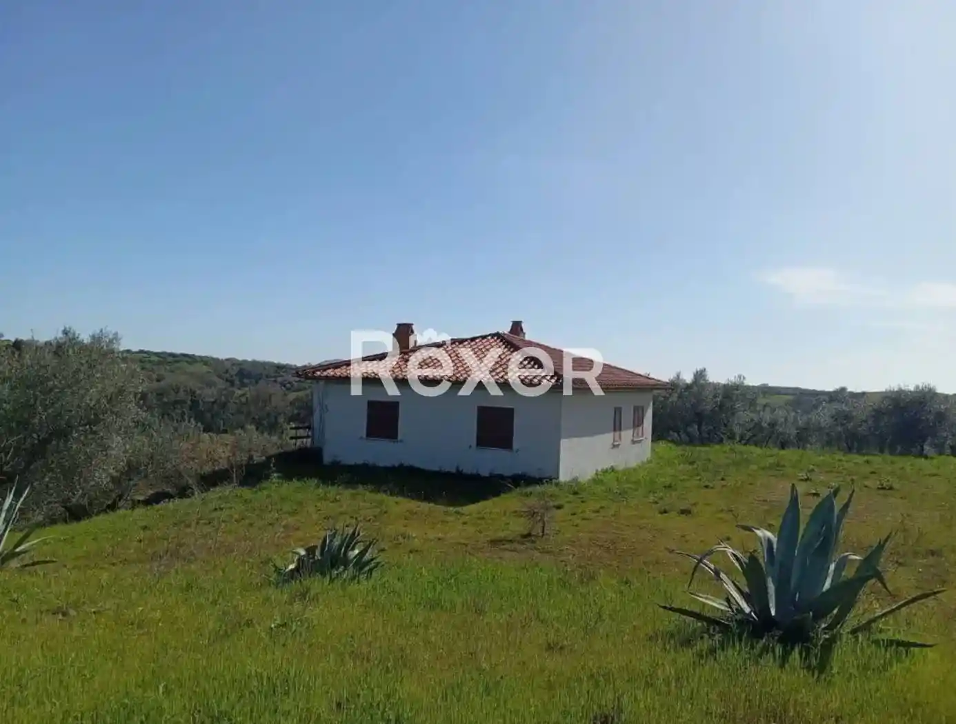 Rustico - Casale in vendita a Farnese