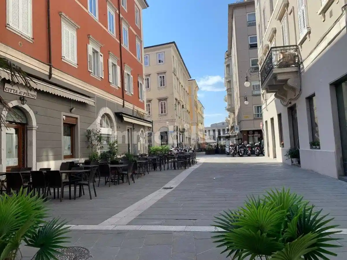 Appartamento in affitto a Trieste