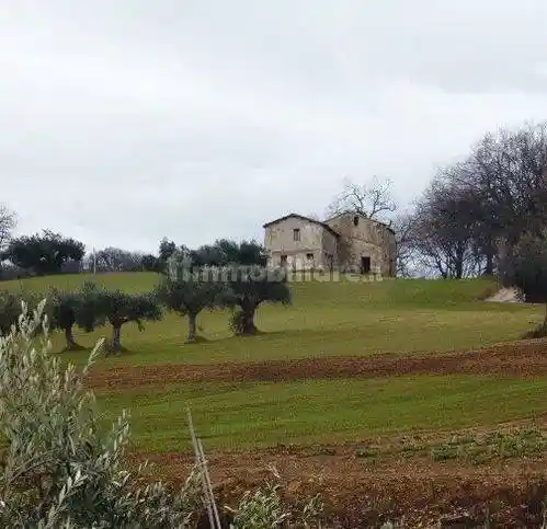 Rustico - Casale in vendita a Cingoli