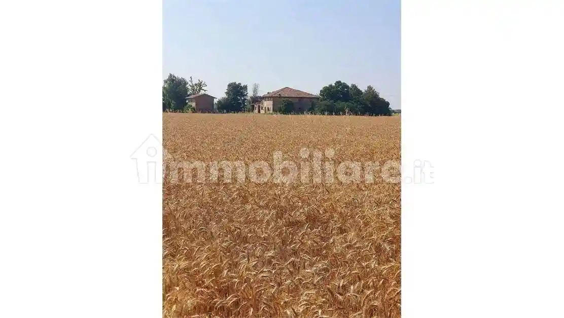Rustico - Casale in vendita a Budrio