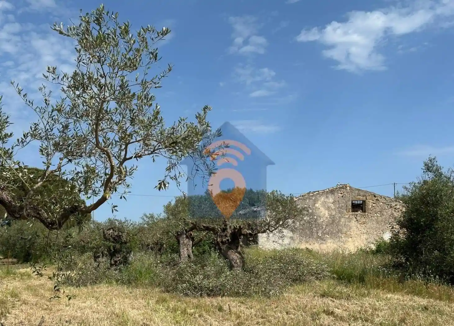 Rustico - Casale in vendita a Castelvetrano