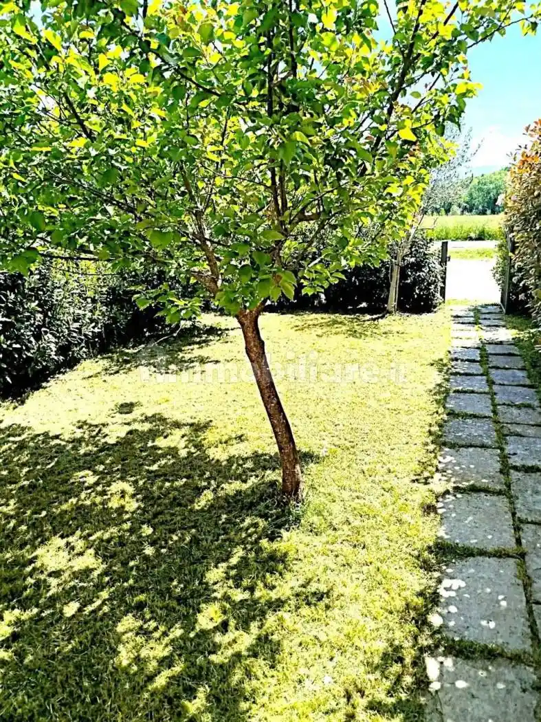 Casa indipendente in vendita a Borgo San Lorenzo