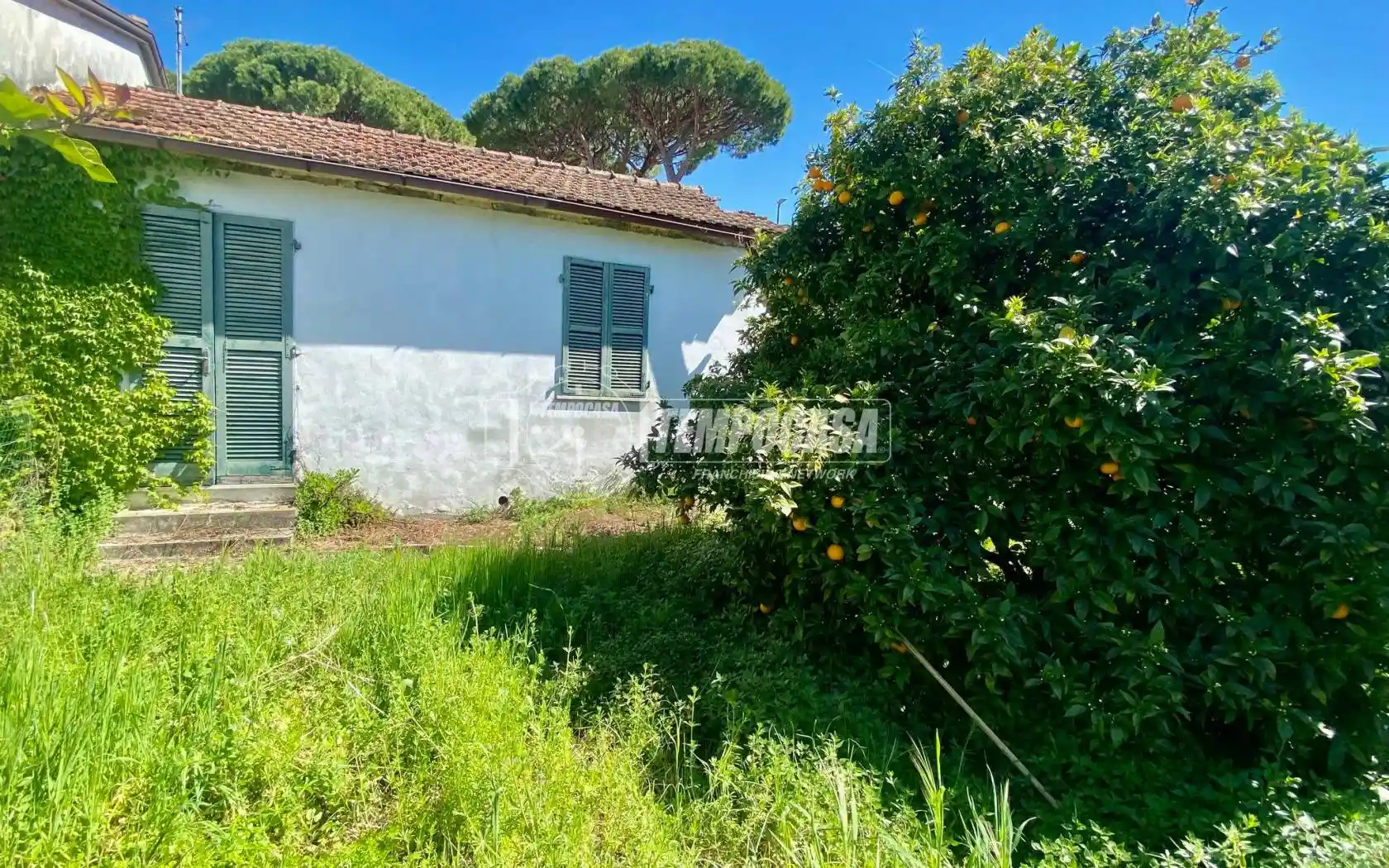 Casa indipendente in vendita a Massa