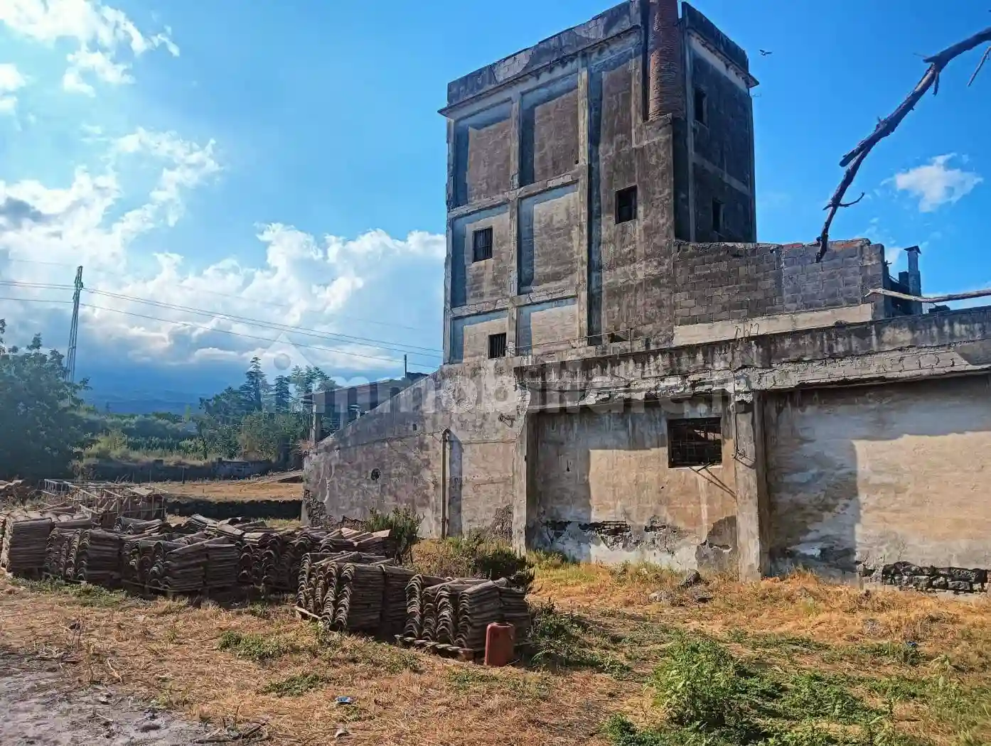 Palazzo - Edificio - foto 5