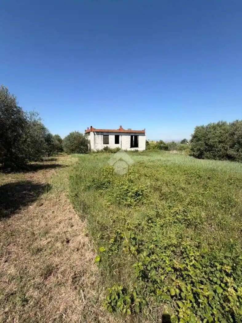 Rustico - Casale in vendita a San Cesareo