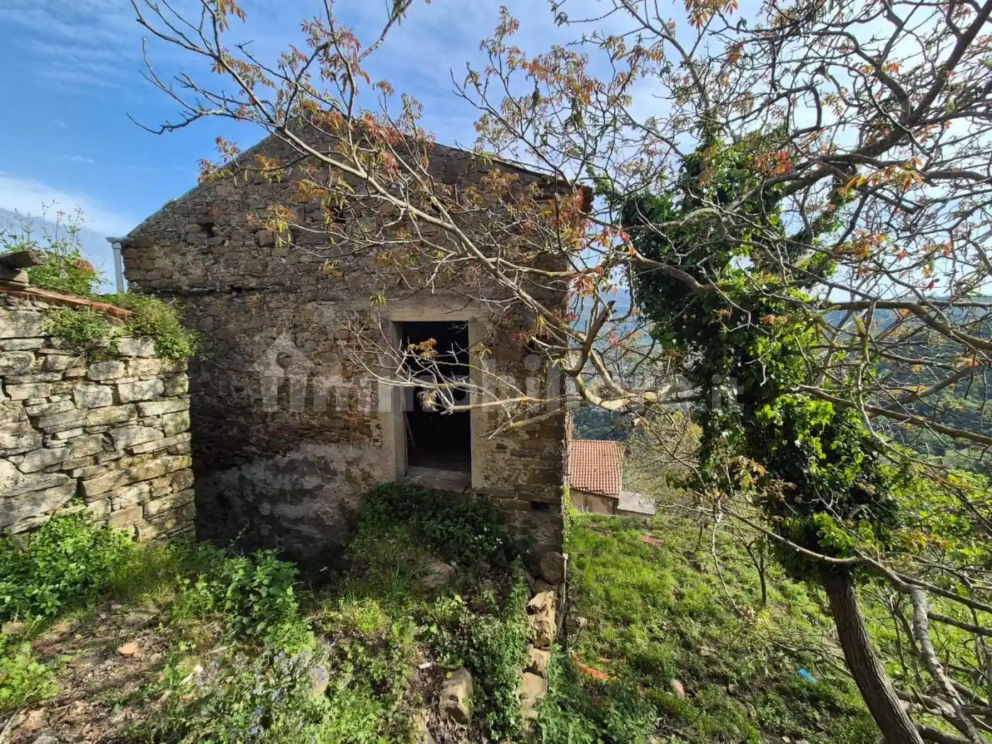 Rustico - Casale in vendita a Lustra