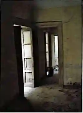 Palazzo - Edificio - foto 5