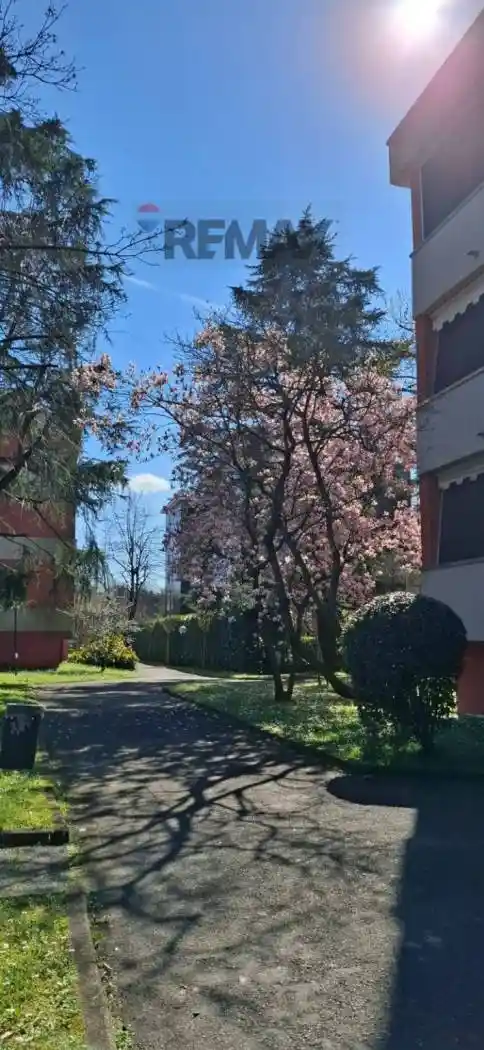 Appartamento in affitto a San Donato Milanese