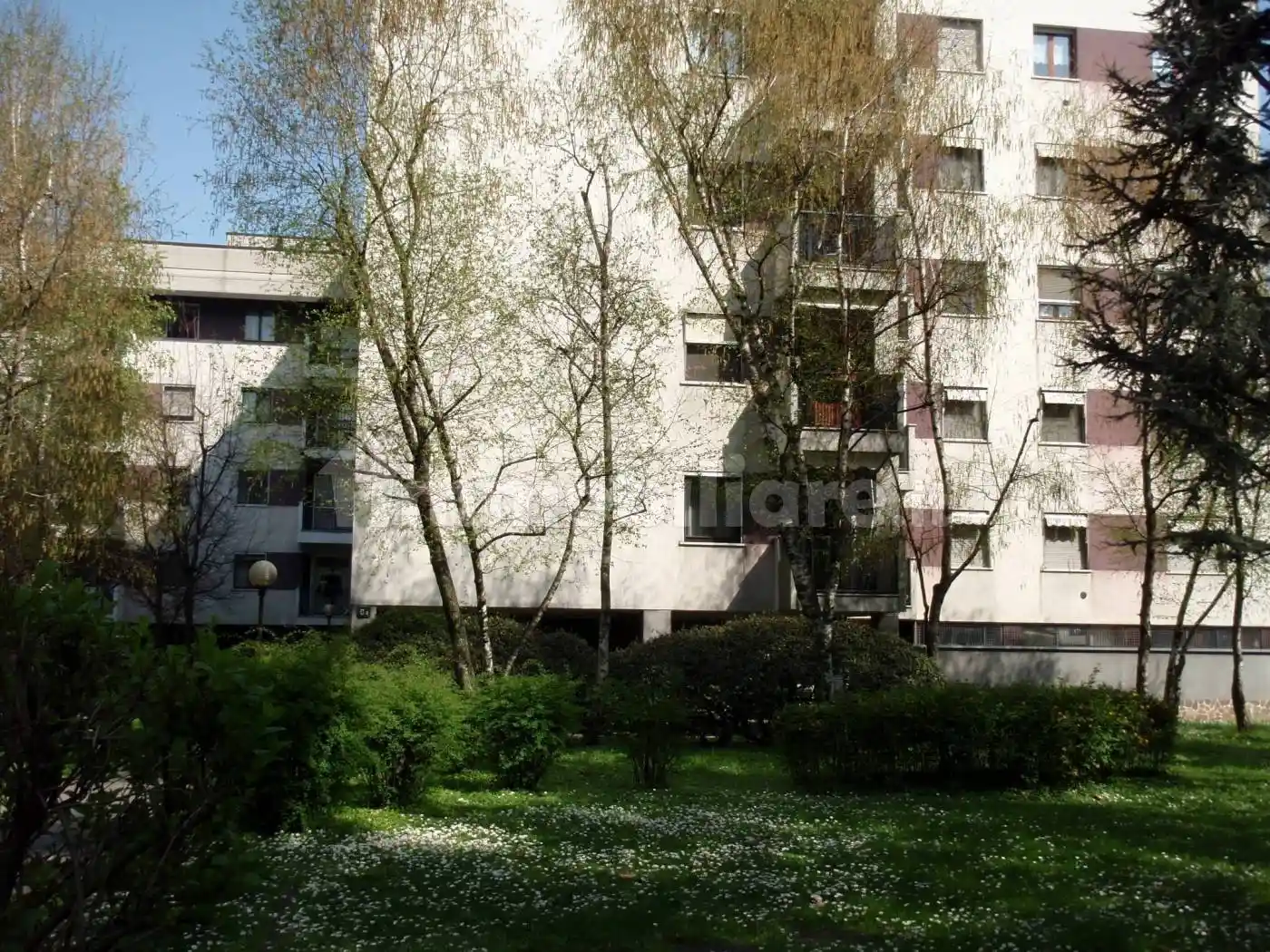 Appartamento in vendita a Buccinasco
