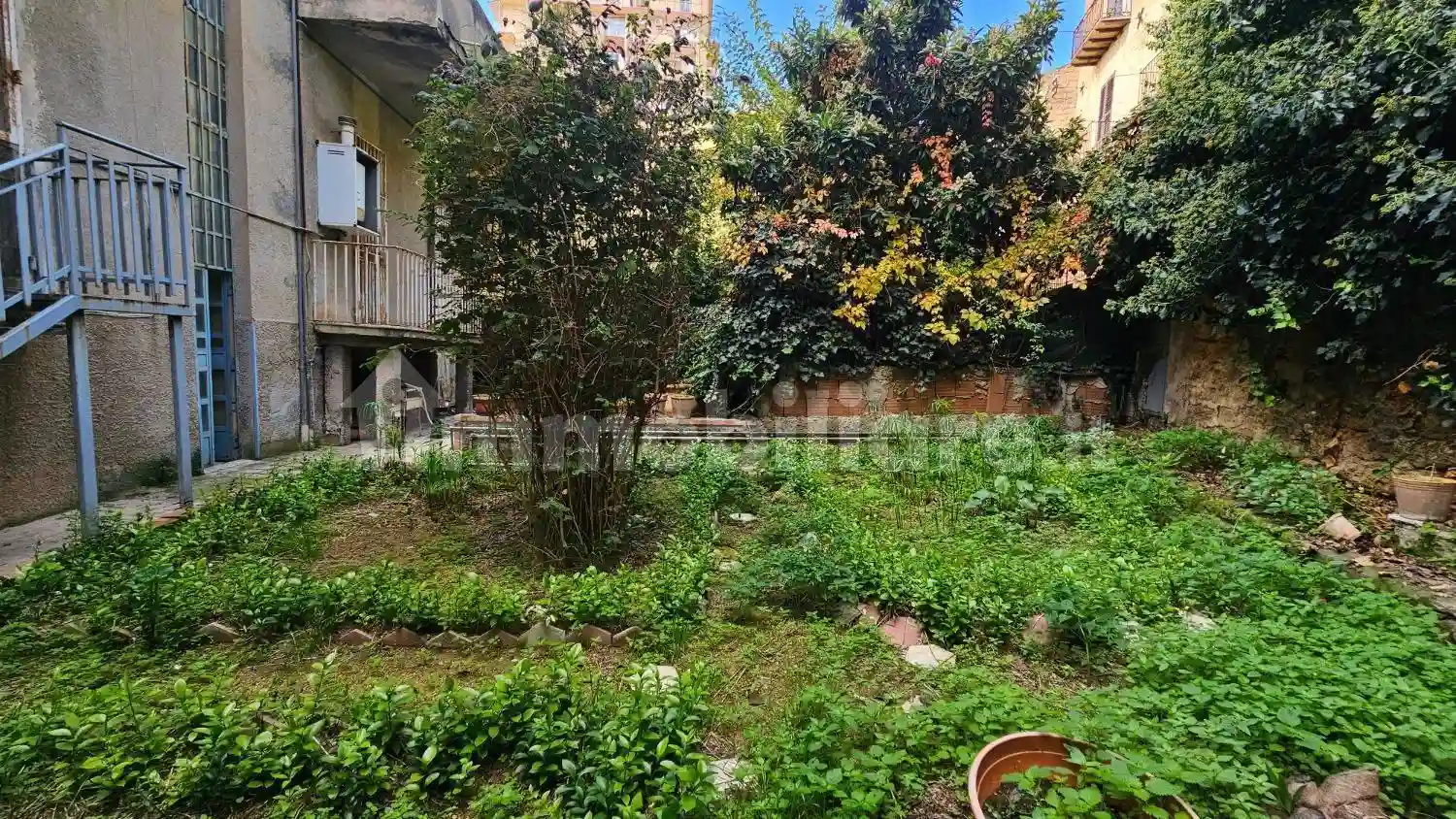 Palazzo - Edificio - foto 5