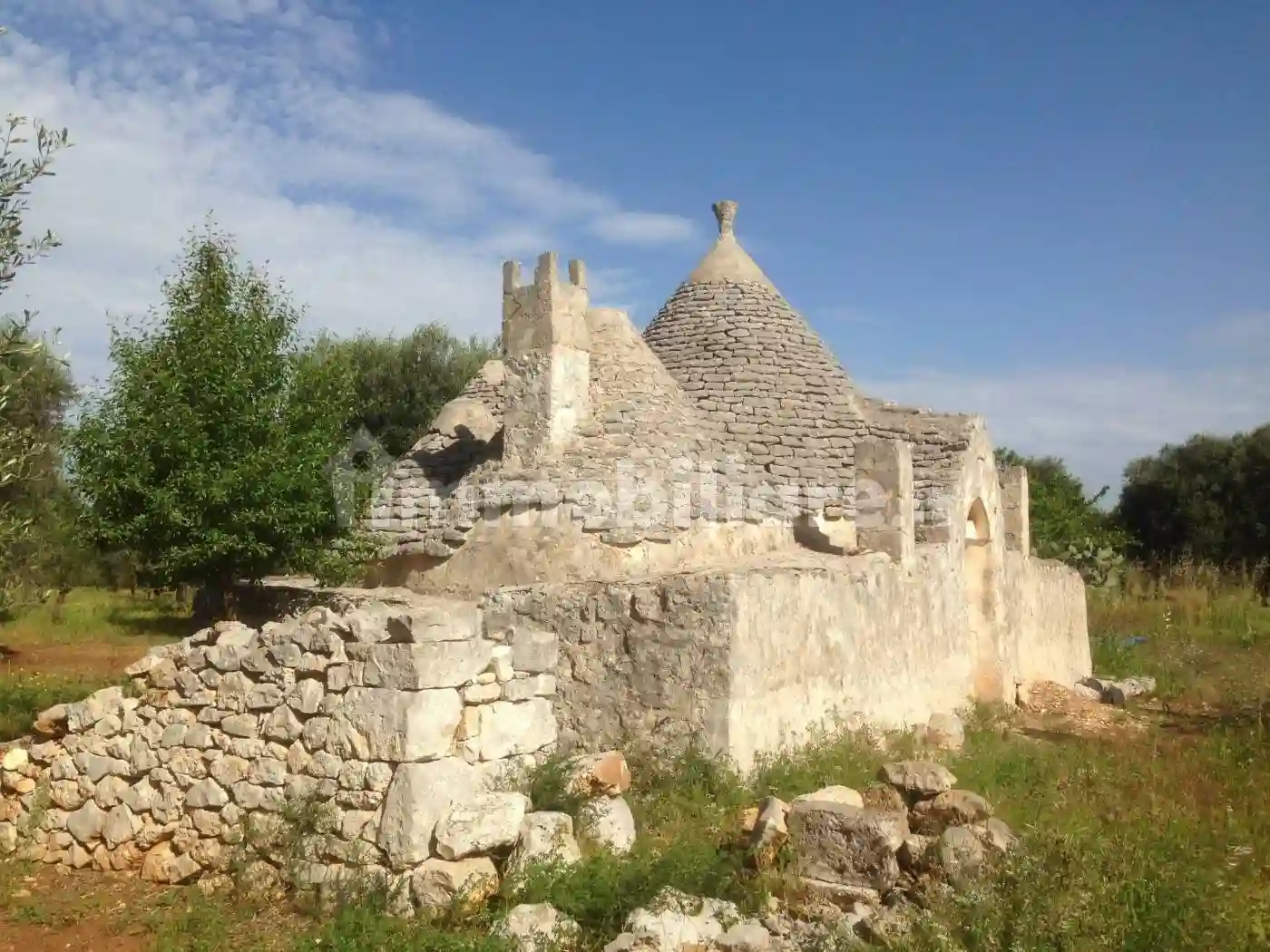 Rustico - Casale - foto 3