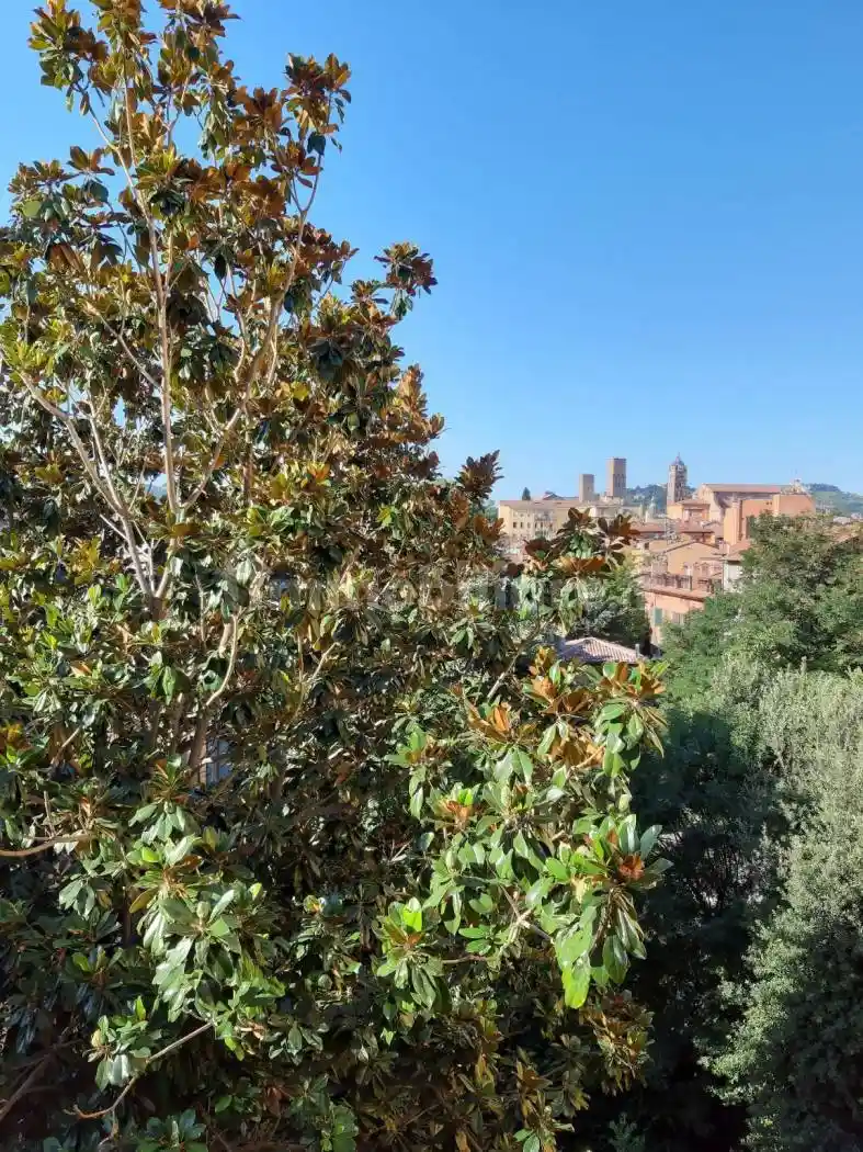 Appartamento in affitto a Bologna