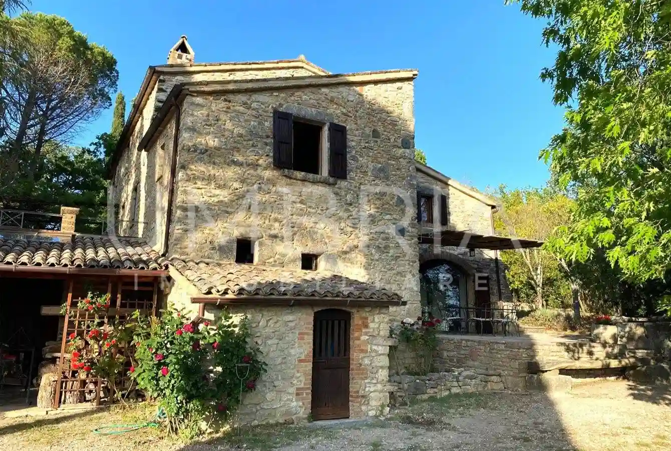 Rustico - Casale - foto 5
