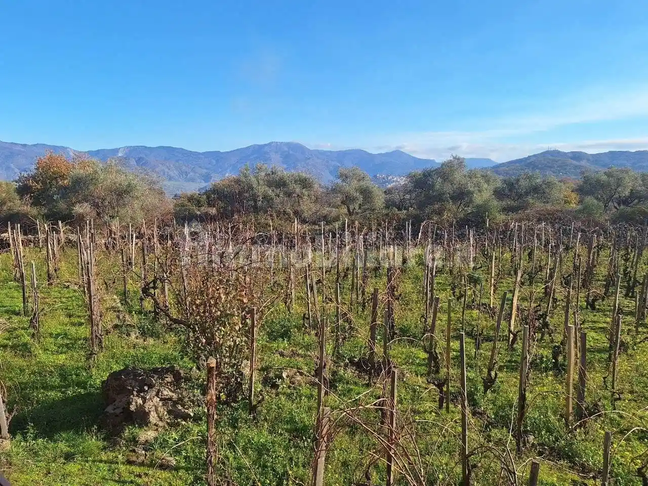 Villa in vendita a Castiglione di Sicilia