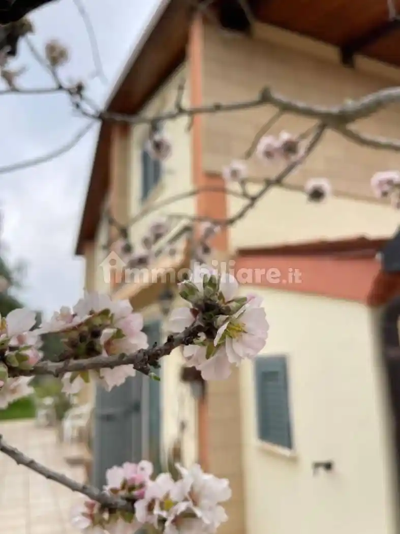 Villa in vendita a Sannicandro di Bari