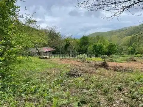 Rustico - Casale in vendita a Bagnone