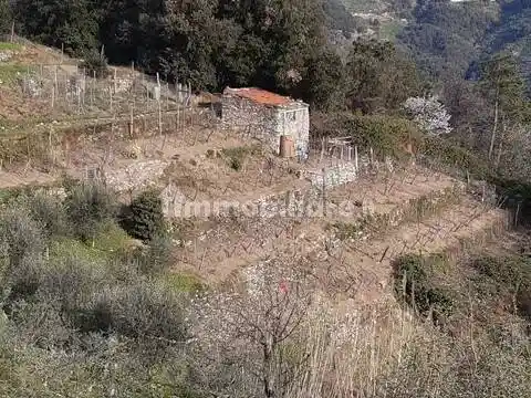 Rustico - Casale in vendita a Vernazza