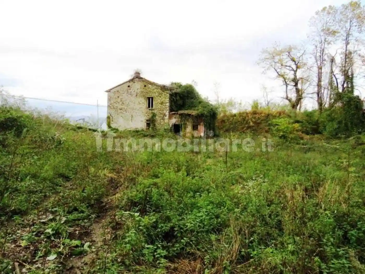 Rustico - Casale in vendita a Bagnone