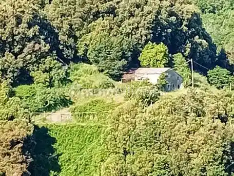 Rustico - Casale in vendita a Levanto