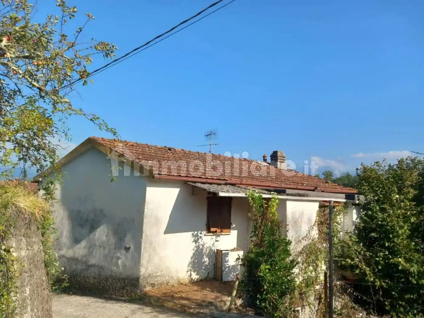Rustico - Casale in vendita a Aulla